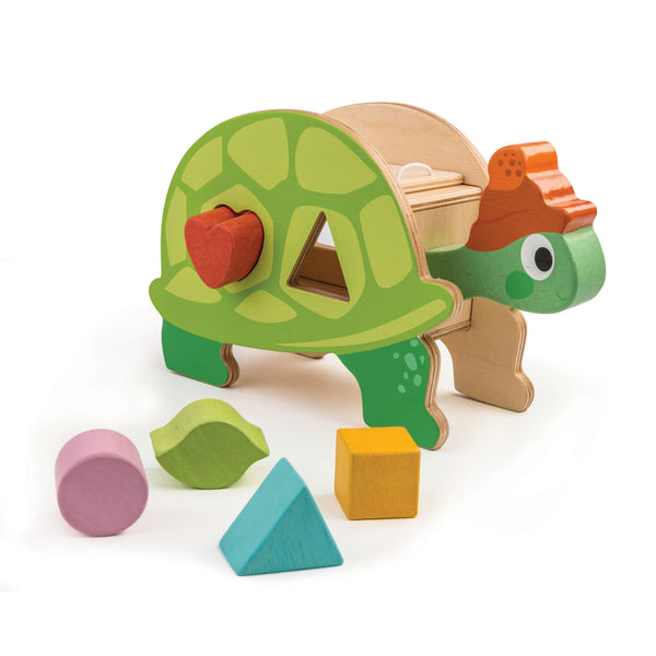 Tortoise Shape Sorter
