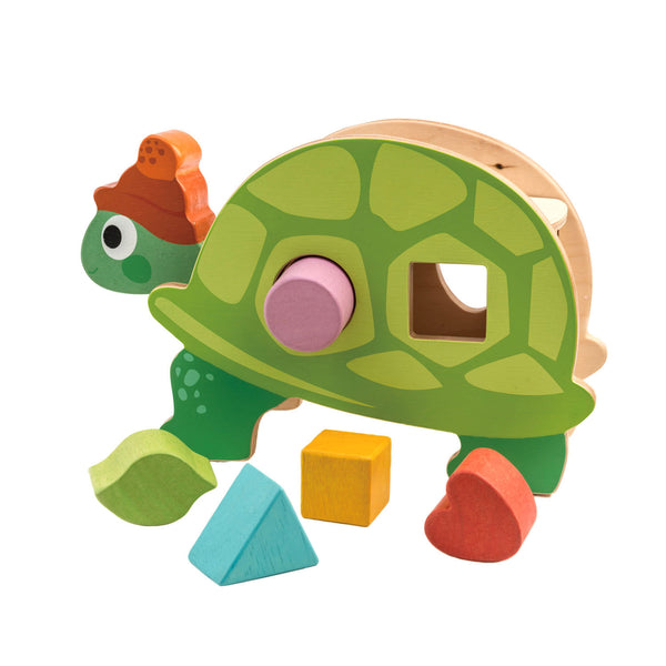 Tortoise Shape Sorter