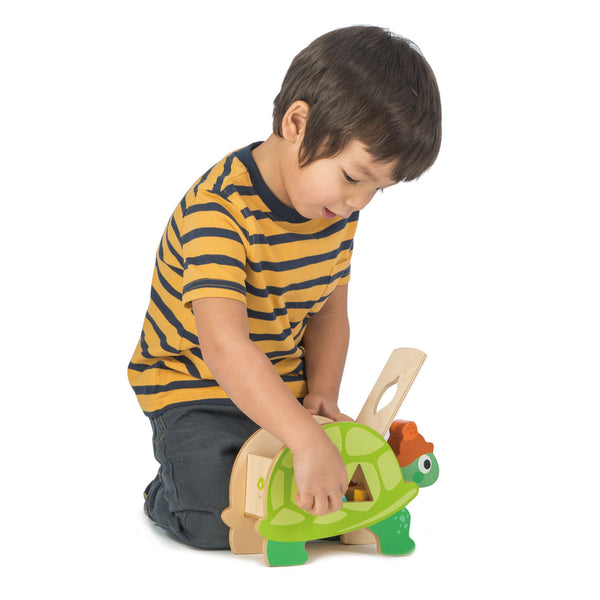 Tortoise Shape Sorter