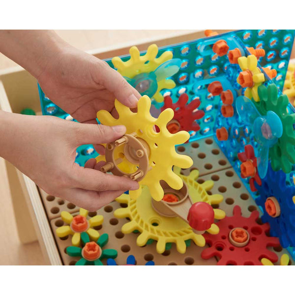 Advanced Level Gears and Pulleys Kit (198 pieces)