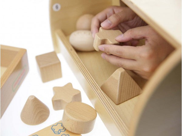 Tactile Training Shape Teaching Set