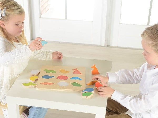 Animal Shape Sorting Board