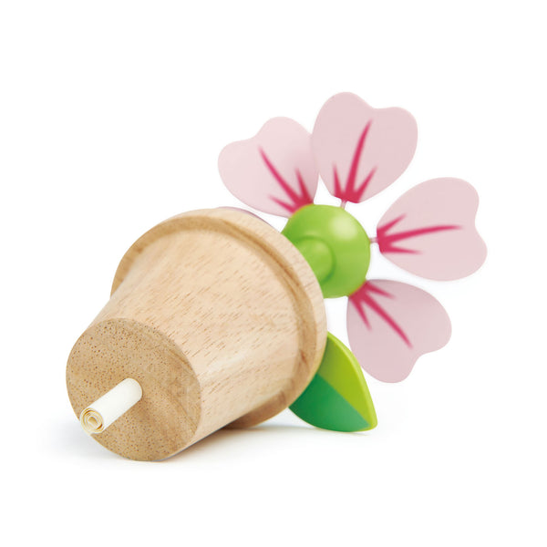 Blossom Flowerpot Set