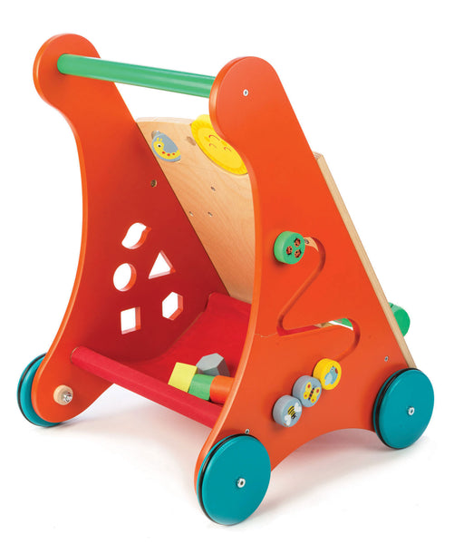 Baby Activity Walker