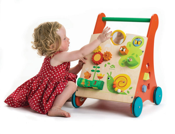 Baby Activity Walker